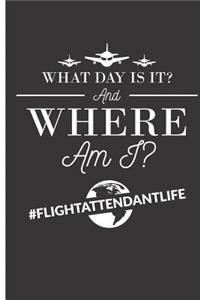What Day Is It and Where Am I? Flight Attendant Life: 2019 Weekly Planner, To-Do List, Journal Diary