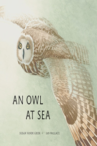 Owl at Sea