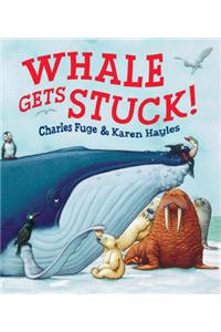 Whale Gets Stuck