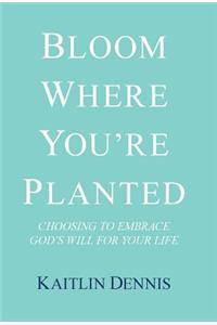 Bloom Where You'Re Planted