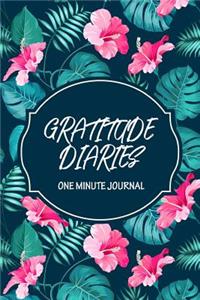 Gratitude Diaries one minute journal