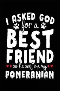 I Asked God For A Best Friend So He Sent Me My Pomeranian