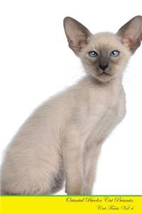 Oriental Bicolor Cat Presents