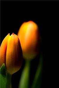 Tulips Notebook