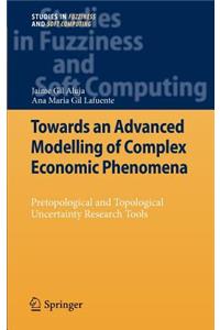 Towards an Advanced Modelling of Complex Economic Phenomena