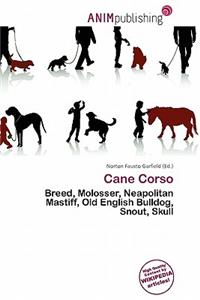 Cane Corso