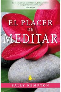 Placer de Meditar, El