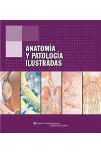 Anatomia Y Patologia Ilustradas