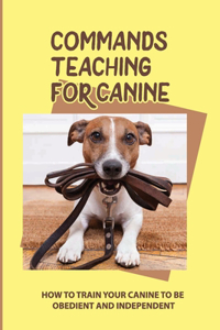 Commands Teaching For Canine