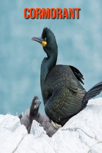 Cormorant