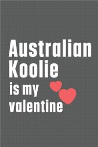 Australian Koolie is my valentine