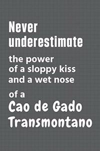 Never underestimate the power of a sloppy kiss and a wet nose of a Cao de Gado Transmontano
