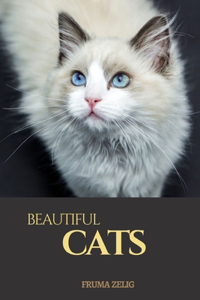Beautiful Cats