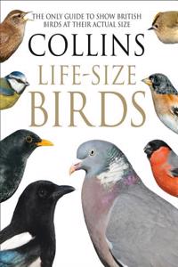 Collins Life-Size Birds