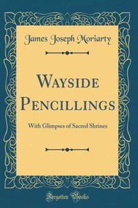 Wayside Pencillings: With Glimpses of Sacred Shrines (Classic Reprint)