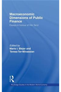 Macroeconomic Dimensions of Public Finance