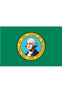 Washington Flag Poster