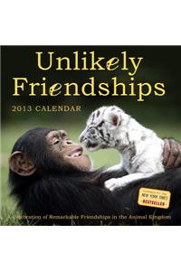 Unlikely Friendships 2013 Calendar