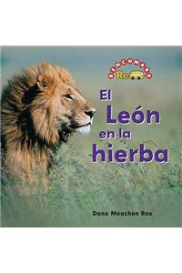 León En La Hierba (the Lion in the Grass)