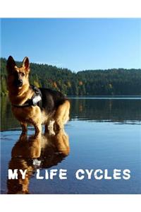 My Life Cycles