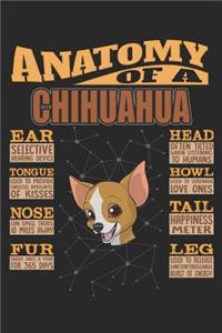 Anatomy Of A Chihuahua