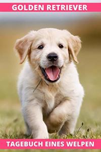 Golden Retriever Tagebuch eines Welpen