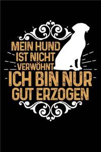 Nicht Verwöhnt (Labrador)