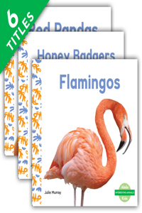 Interesting Animals (Set)