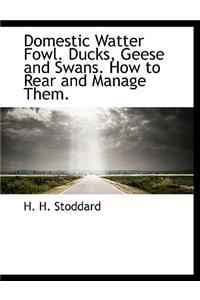 Domestic Watter Fowl. Ducks, Geese and Swans. How to Rear and Manage Them.