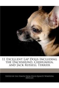 11 Excellent Lap Dogs Including the Dachshund, Chihuahua, and Jack Russell Terrier