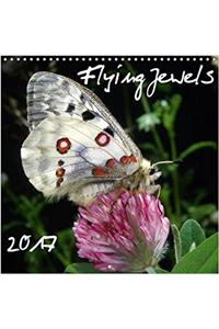 Flying Jewels 2017