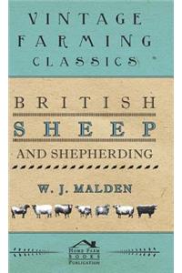 British Sheep And Shepherding
