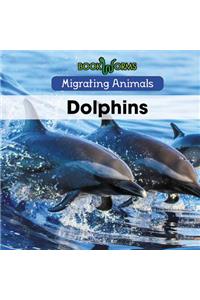 Dolphins
