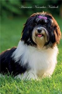 Havanese November Notebook Havanese Record, Log, Diary, Special Memories, To Do List, Academic Notepad, Scrapbook & More