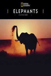 ELEPHANTS NATIONAL GEOGRAPHIC SQUARE WAL