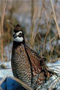 Journal Fowl On Snowy Ground