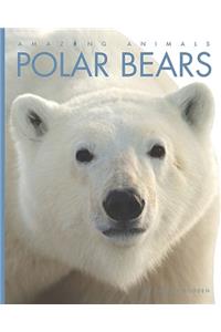 Polar Bears