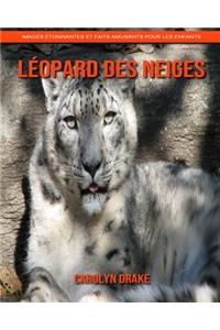 Léopard des Neiges