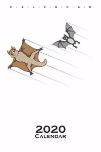 Air Race of flying squirrel and bat Calendar 2020