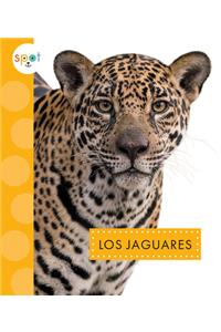 Los Jaguares