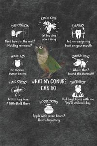 What My Conure Can Do Notebook Journal