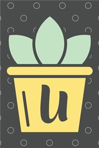 U