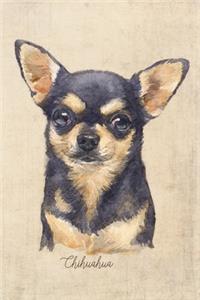 Chihuahua - Smooth Coat Dog Portrait Notebook