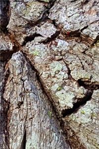 2020 Weekly Planner Mighty Oak Tree Bark Photo 134 Pages