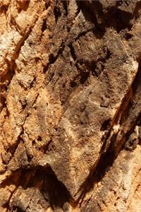 2020 Weekly Planner Journal Natural Rock Formation 134 Pages