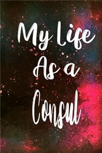 My Life as a Consul