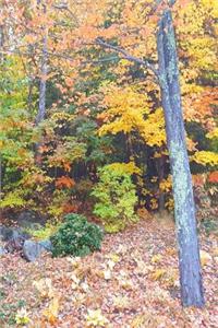 2019 Weekly Planner Autumn Season Forest 134 Pages