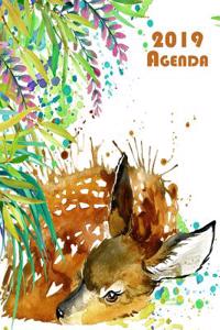 2019 Agenda
