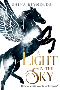 Light in the Sky