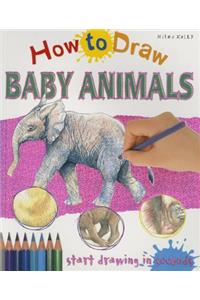 How to Draw Baby Animals